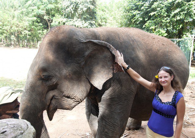 Шри-Ланка слон