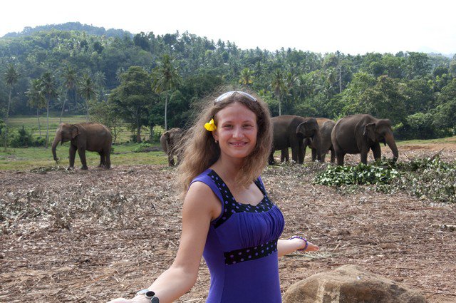 Слоновий Питомник в Шри-Ланке