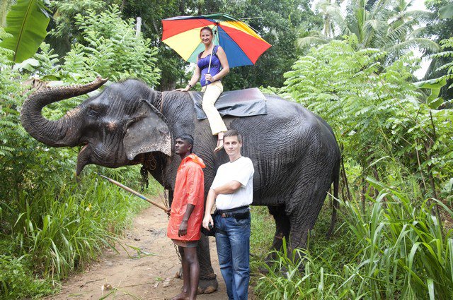 Катание на слоне Шри-Ланка